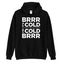Load image into Gallery viewer, Brrr It&#39;s Cold Hoodie
